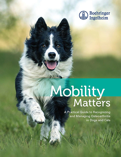MobilityMatters_cover.jpg