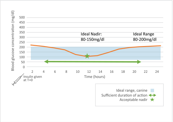 Interpreting Glucose Curves