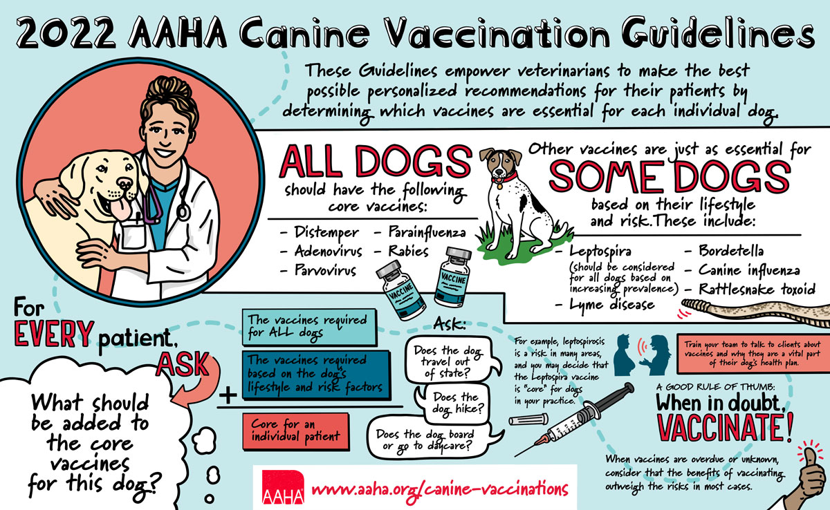 2022 AAHA Canine Vaccination Guidelines