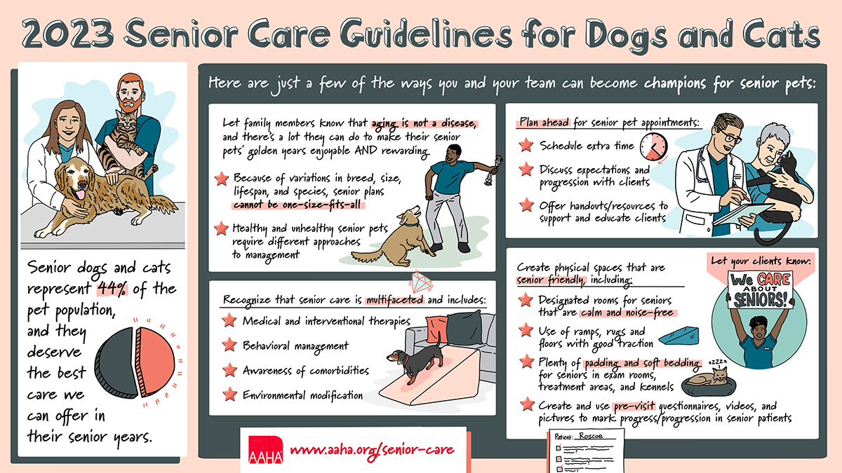 2023 AAHA Senior Care Guidelines for Dogs and Cats