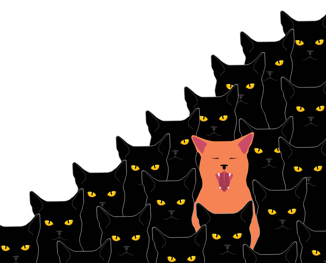 Numerous black cats with one bright orange cat among them