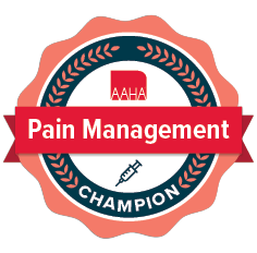 Pain management certificate badge