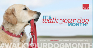 01-Jan-walk-your-dog-FB.jpg