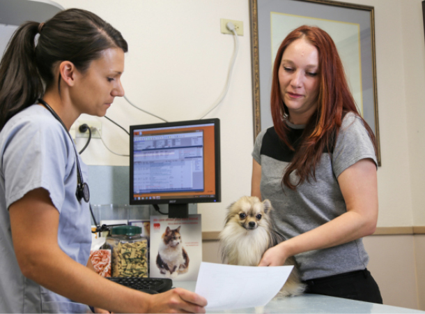Veterinary technician going over handout with client