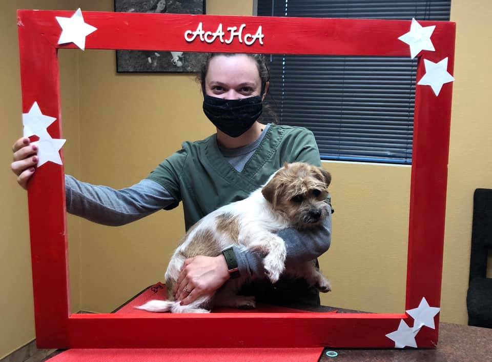 Team member and dog pose in an AAHA selfie frame.