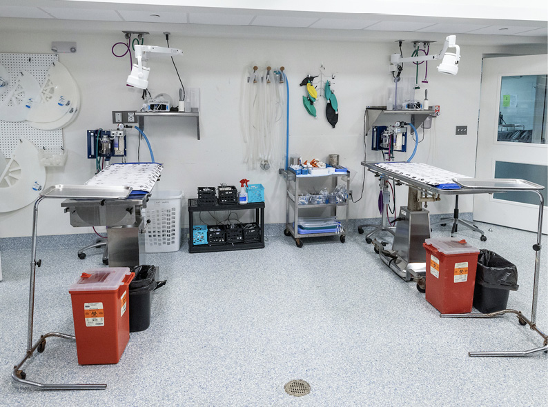 The simulation lab is designed to mimic a real clinical setting. 