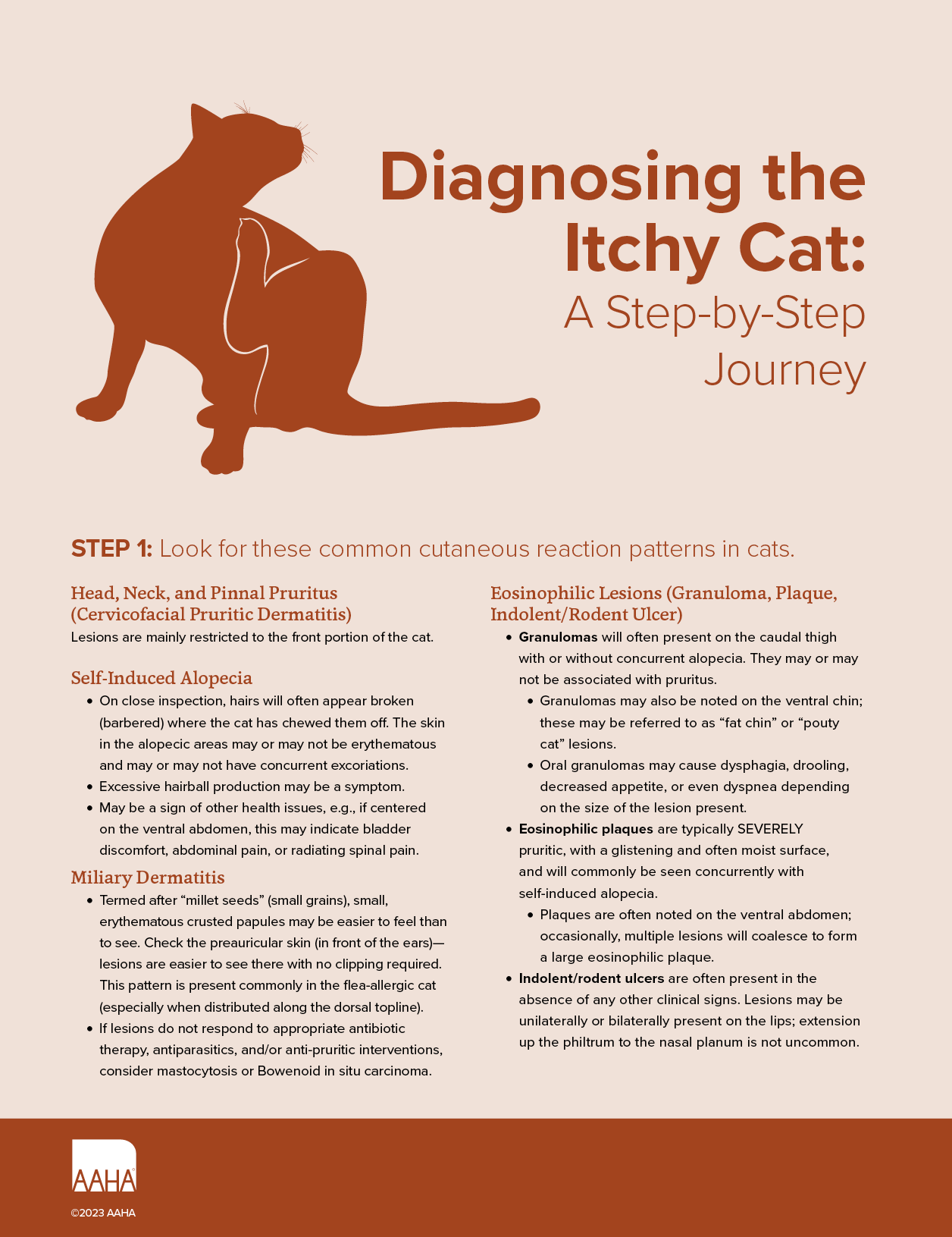 Diagnosing the Itchy Cat