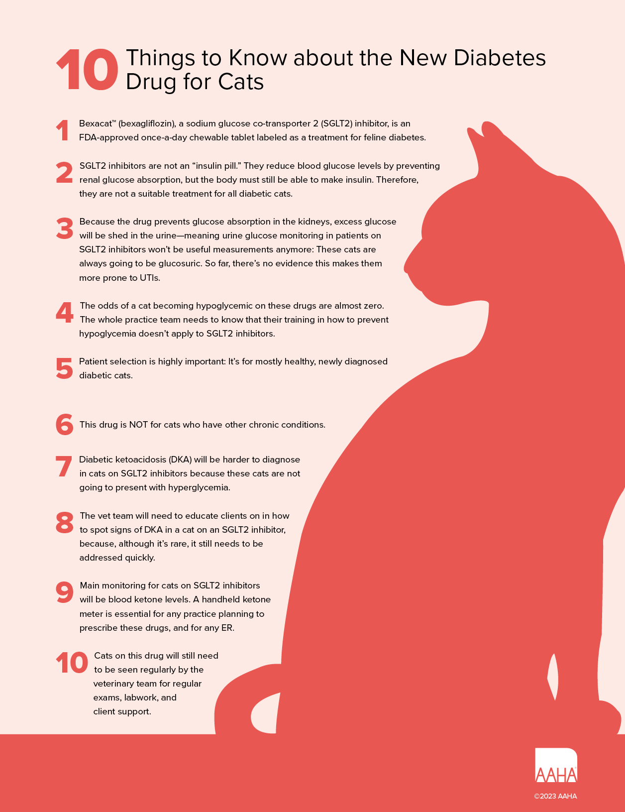 10_Things_To_Know_Bexacat.png