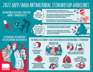 Infographic of 2022 AAFP/AAHA Antimicrobial Stewardship Guidelines 