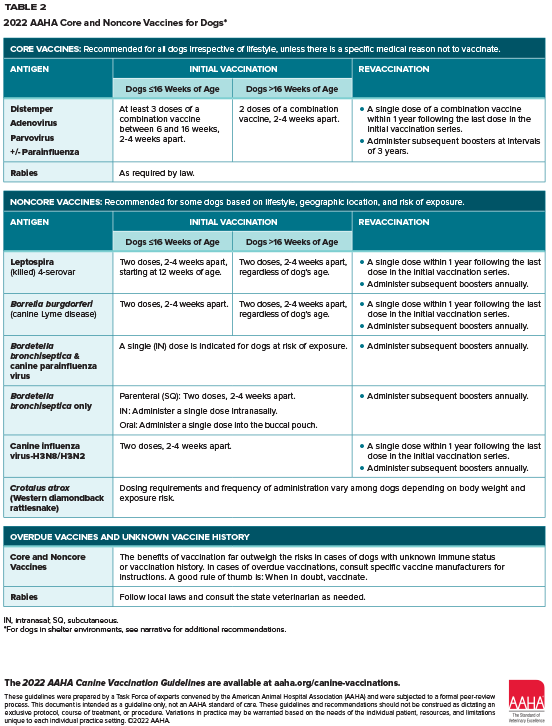 2022 AAHA Canine Vaccination Guidelines AAHA