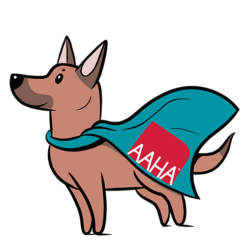 2022 AAHA Canine Vaccination Guidelines - AAHA