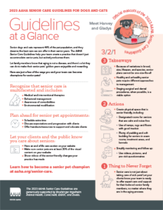 Senior Care Guidelines at a Glance
