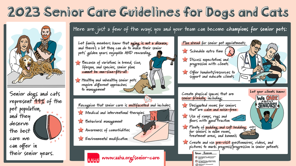 2023 AAHA Senior Care Guidelines for Dogs and Cats AAHA