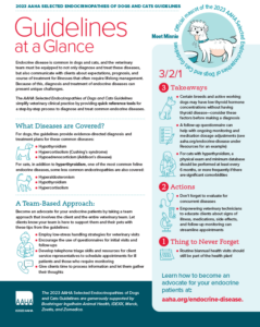 Endocrine Guidelines at a Glance