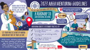 Mentoring Guidelines Infographic