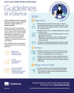 Mentoring Guidelines at a Glance