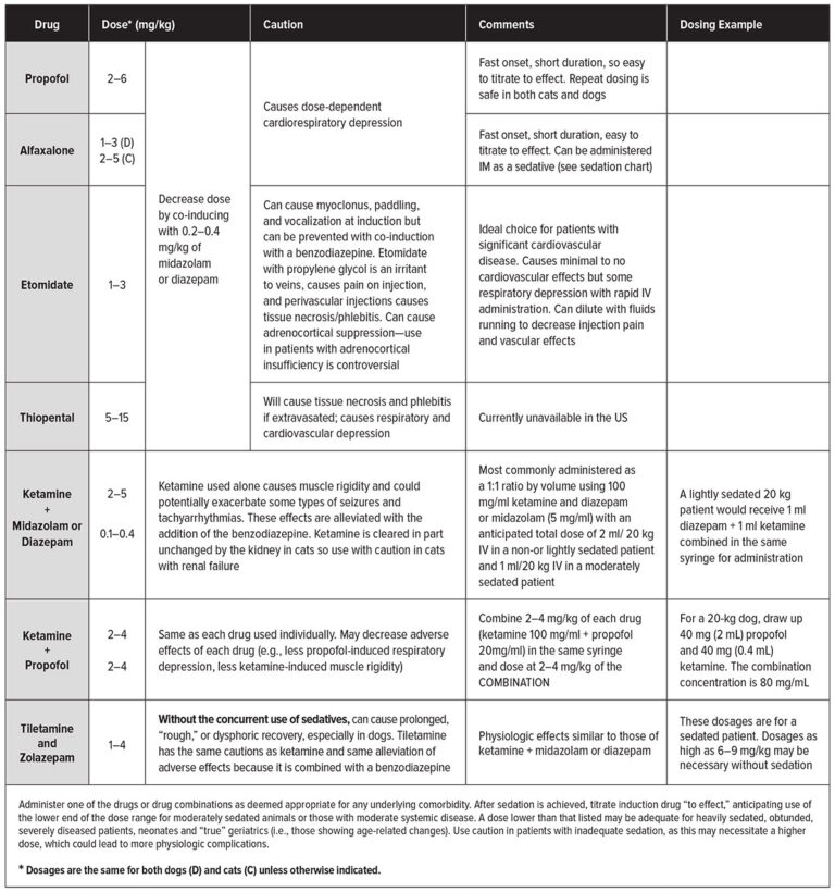 IV Induction Protocols for Dogs and Cats - AAHA