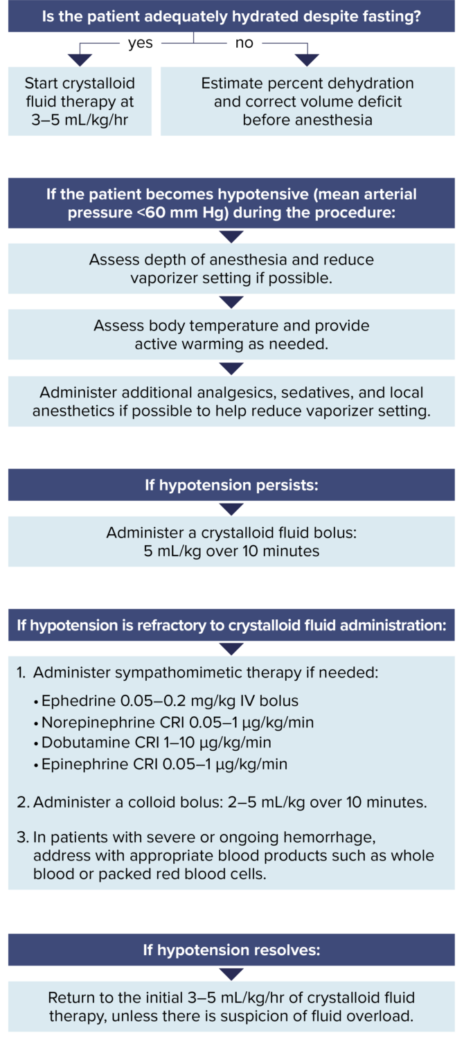 Section 4 Fluid Therapy and Anesthesia AAHA