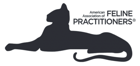 2024 AAHA Fluid Therapy Guidelines For Dogs And Cats - AAHA