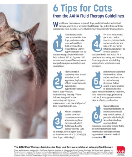 2024 AAHA Fluid Therapy Guidelines For Dogs And Cats - AAHA